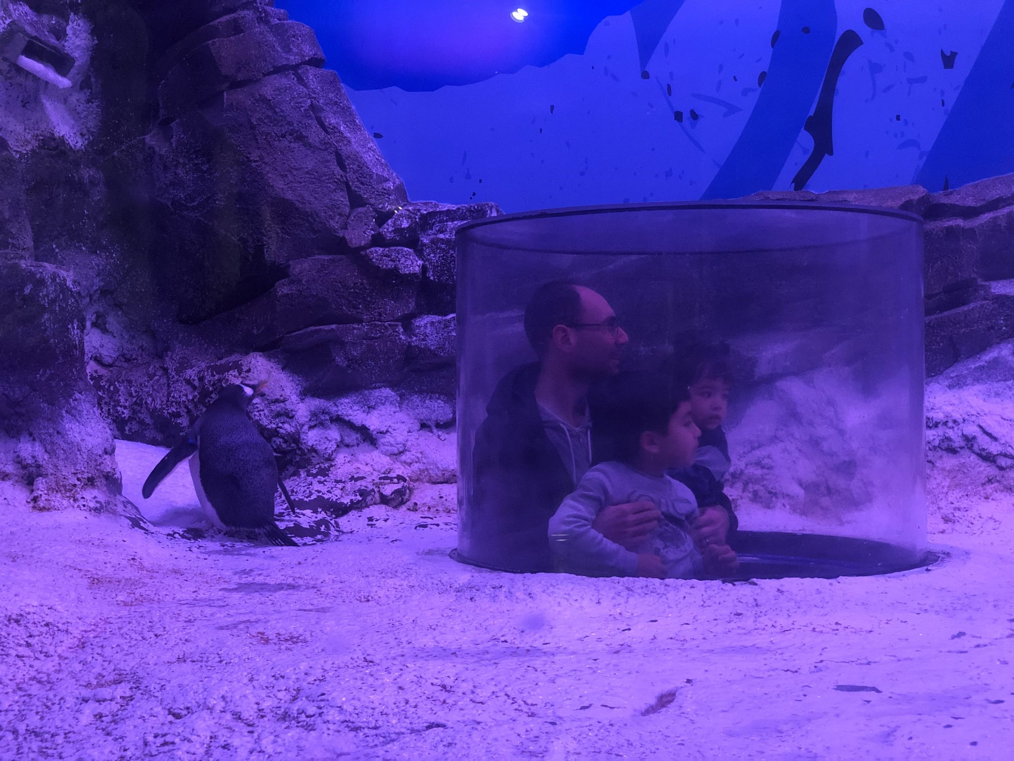Sea Life Val D'Europe - Blog des Parents